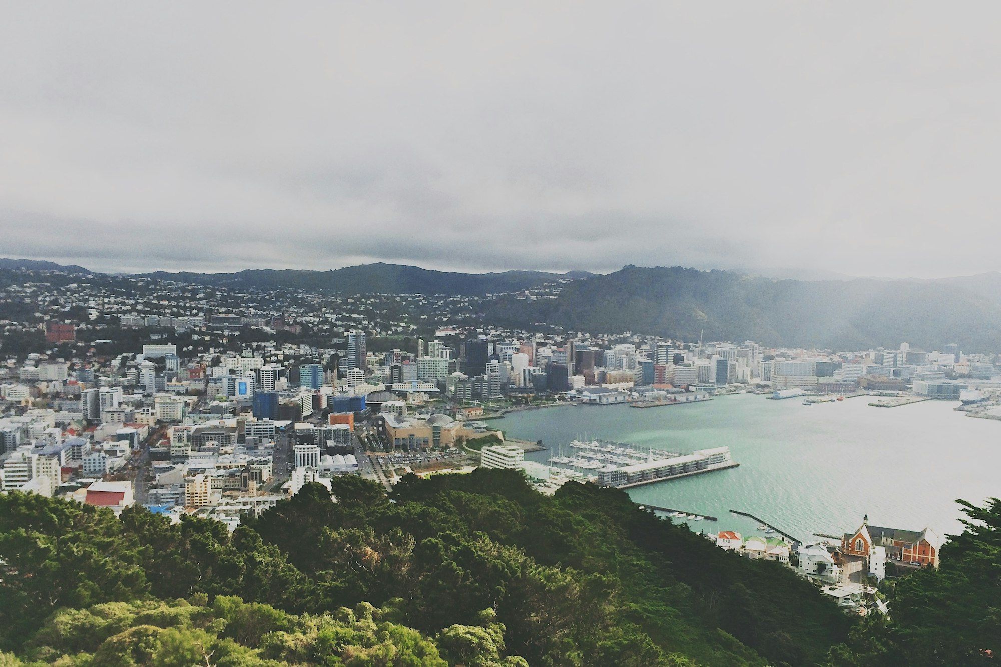 Wellington city and harbour seen from Mount Victoria